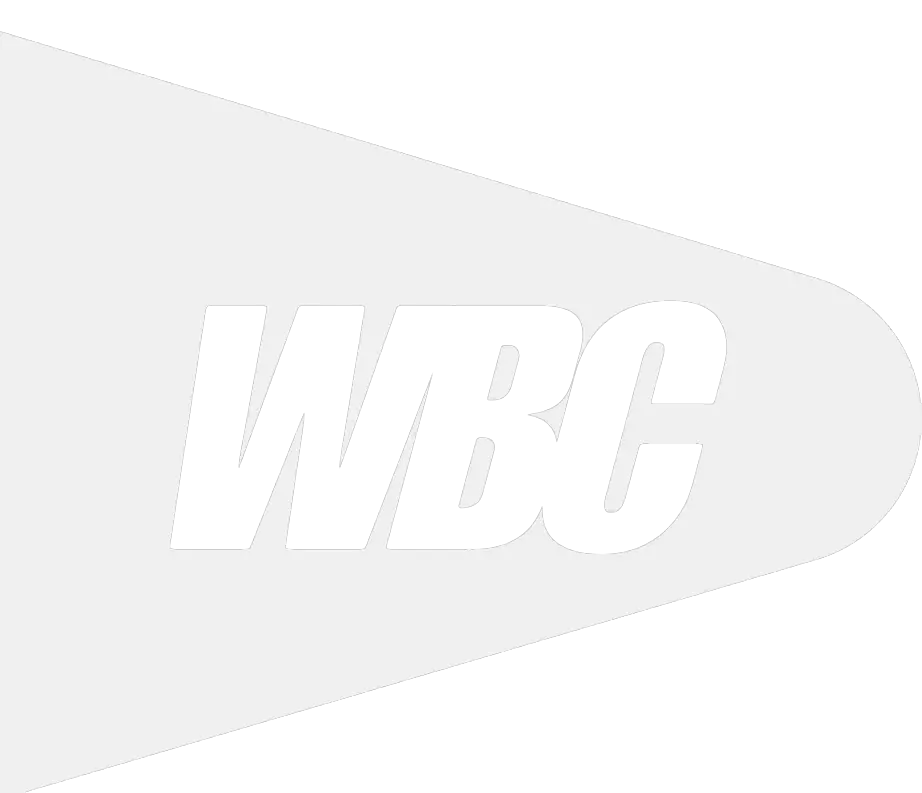 WFLS Badminton Club Icon