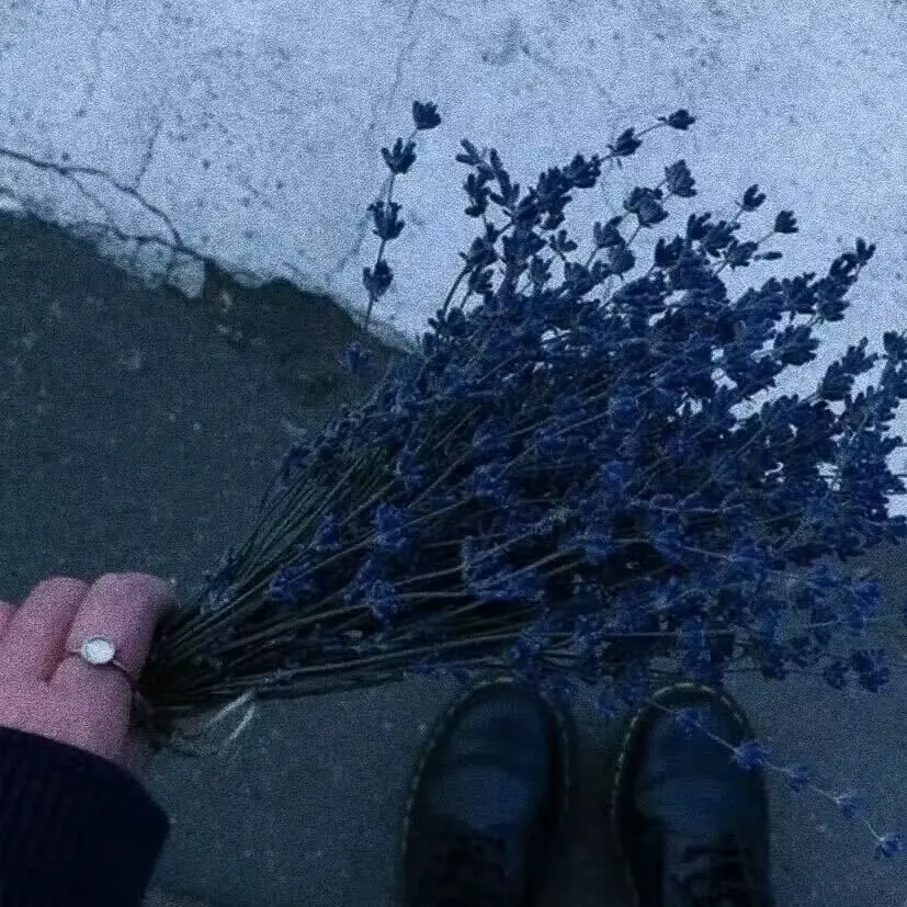 袁昊轩的头像